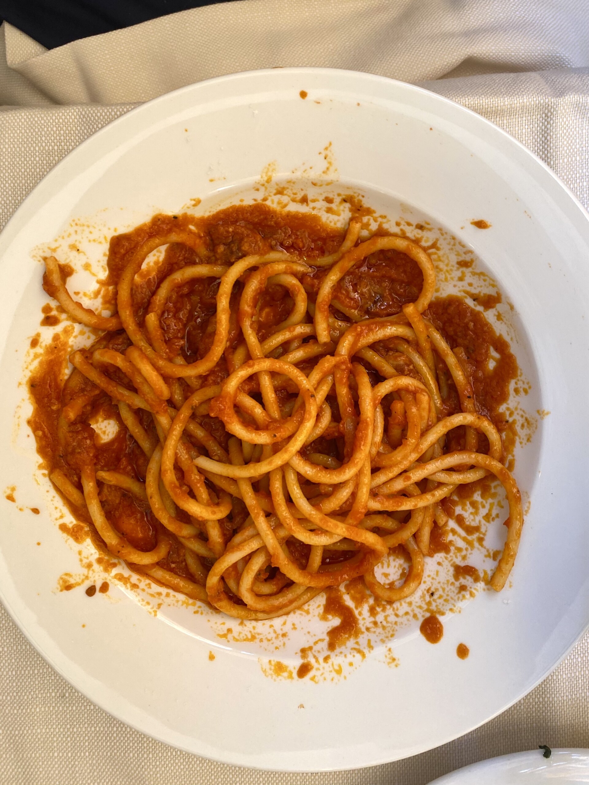 a dish of bucatini all'amatriciana