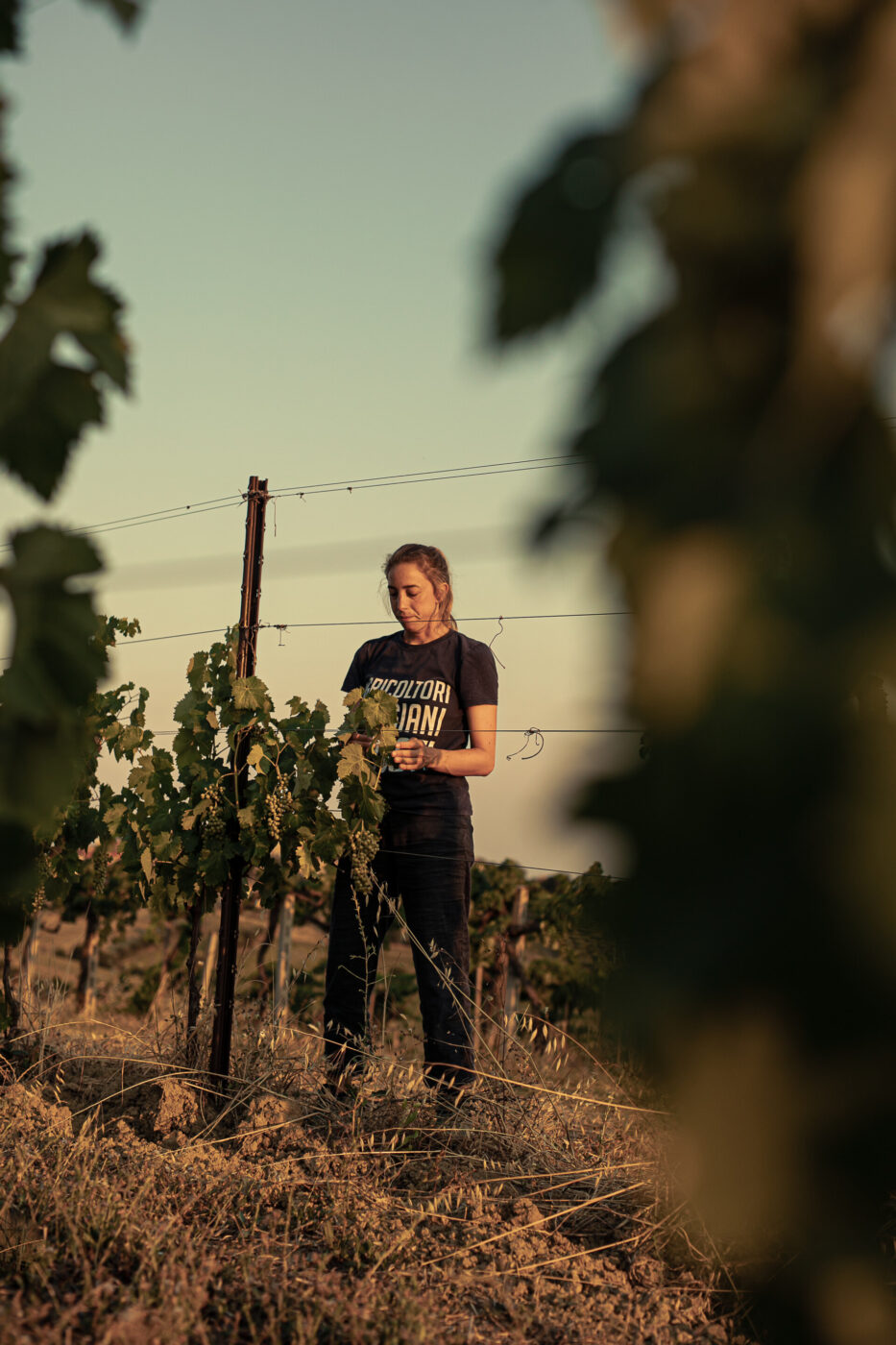 an image of Chiara de Iulis Pepe in the vines
