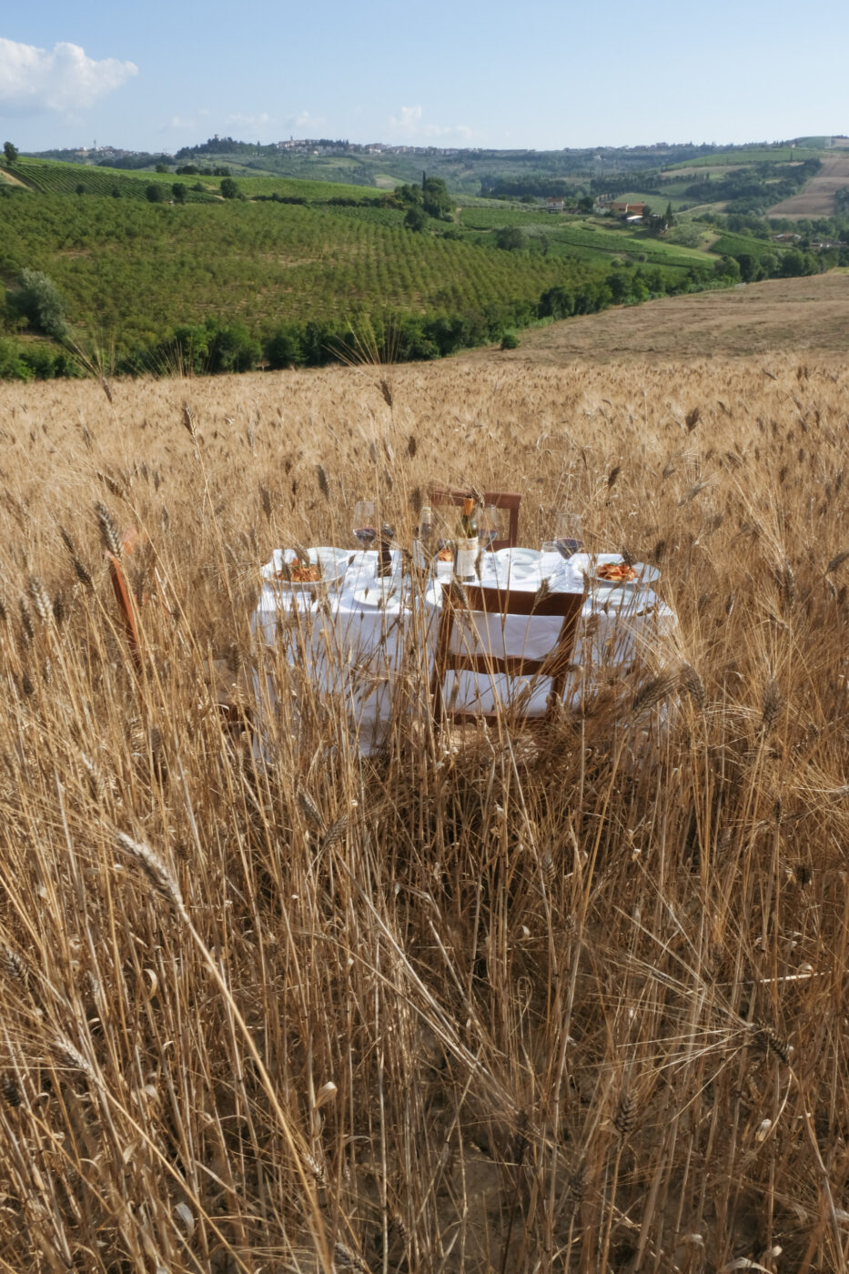 a table in a wheat field