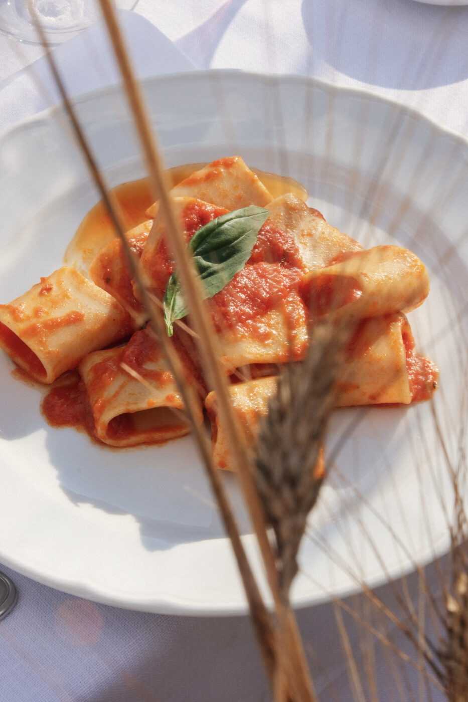 a plate of paccheri with tomato sauce from tirrena with wheat in front