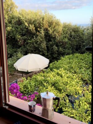 a moka coffee pot on a window sill above a lush garden at La Limonaia della Bottega in Versilia