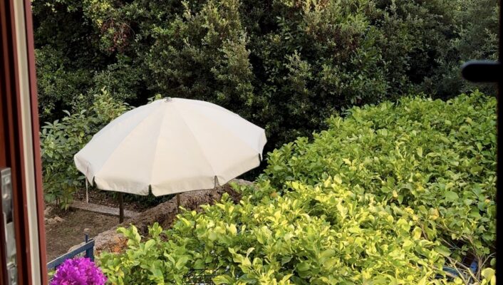 a moka coffee pot on a window sill above a lush garden at La Limonaia della Bottega in Versilia
