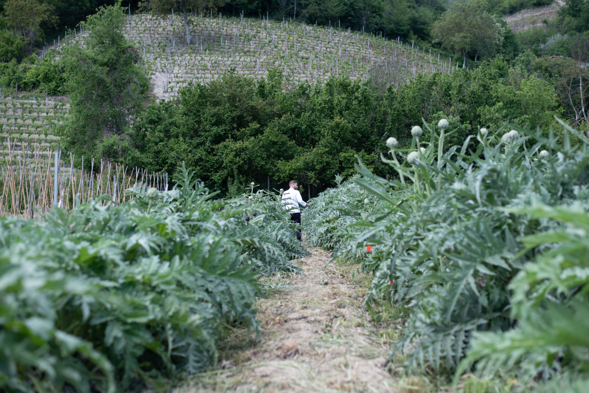 the lush gardens of Relais San Maurizio