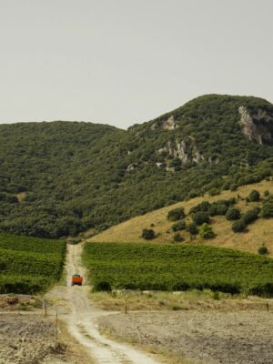 a long dusty road with one red farm truck leads up into the mountains in sicily