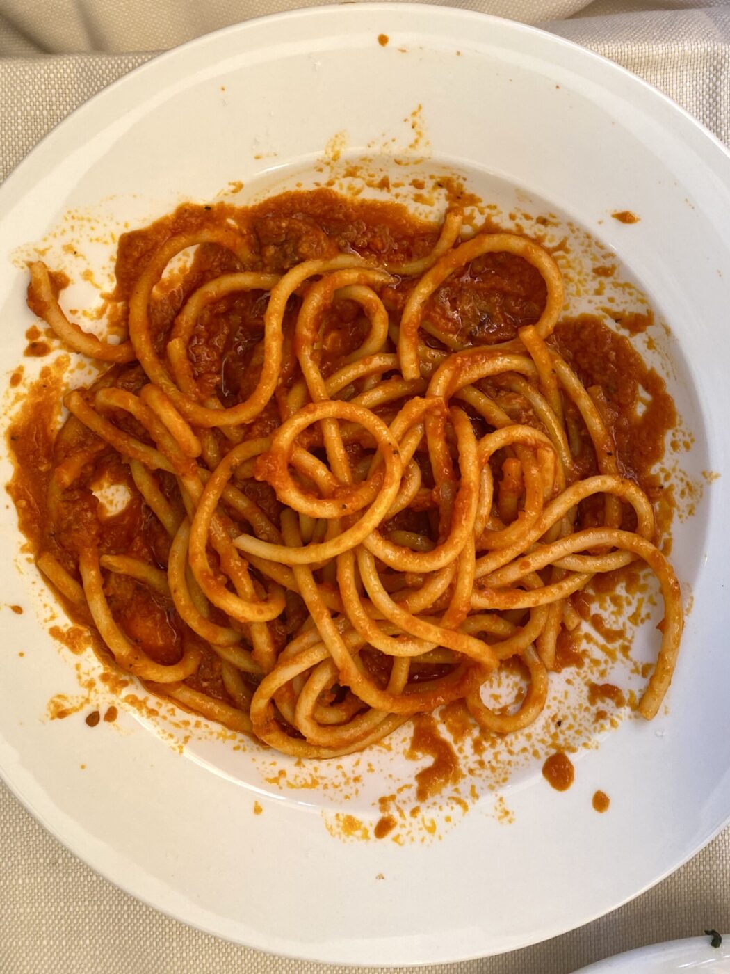 a plate of bucatini all'amatriciana