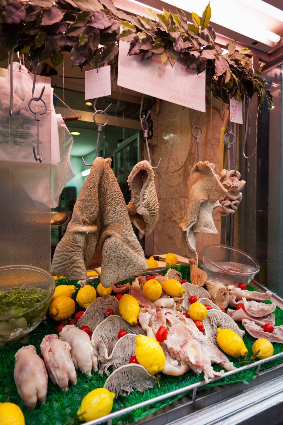 the window display of a butcher's shop in naples with lots of pig parts