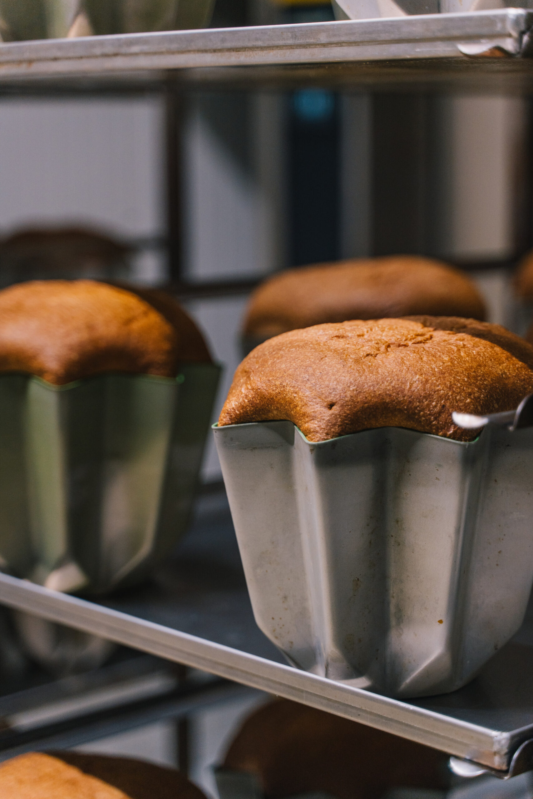 A close up of a Pandoro baking in the oven at Olivieri1882;