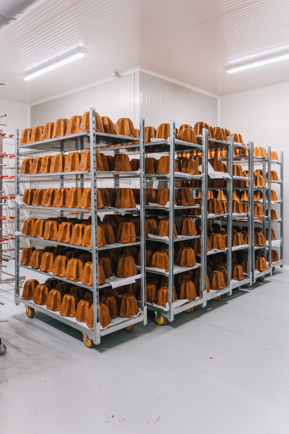 racks filled with trays of fresh pandoro at olivieri1882