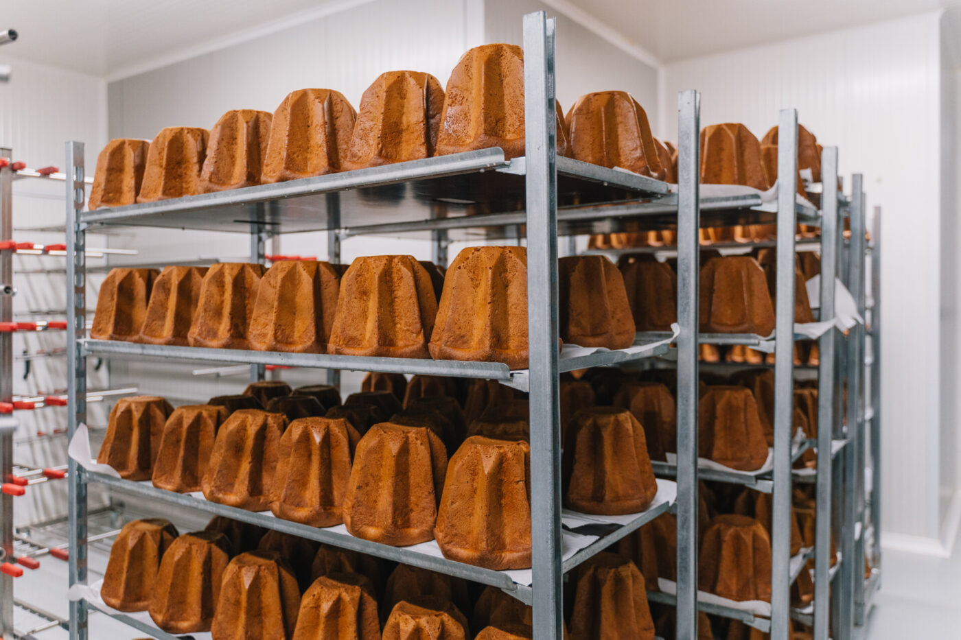 trays of fresh pandoro at olivieri 1882