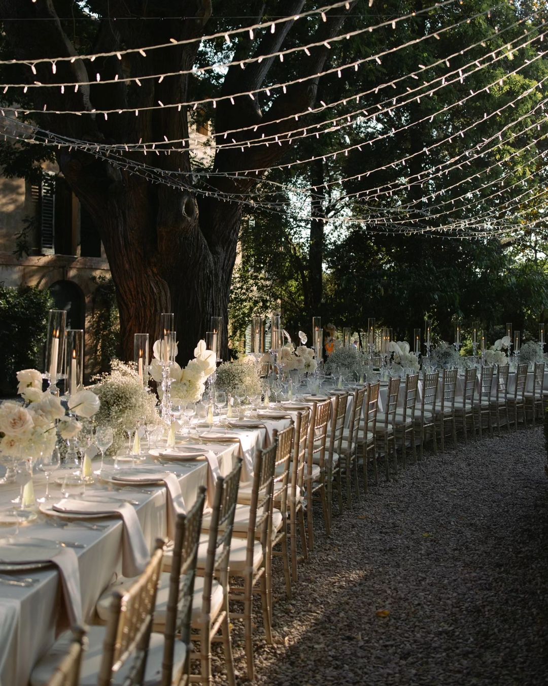 a long curving imperial table set up for a wedding reception