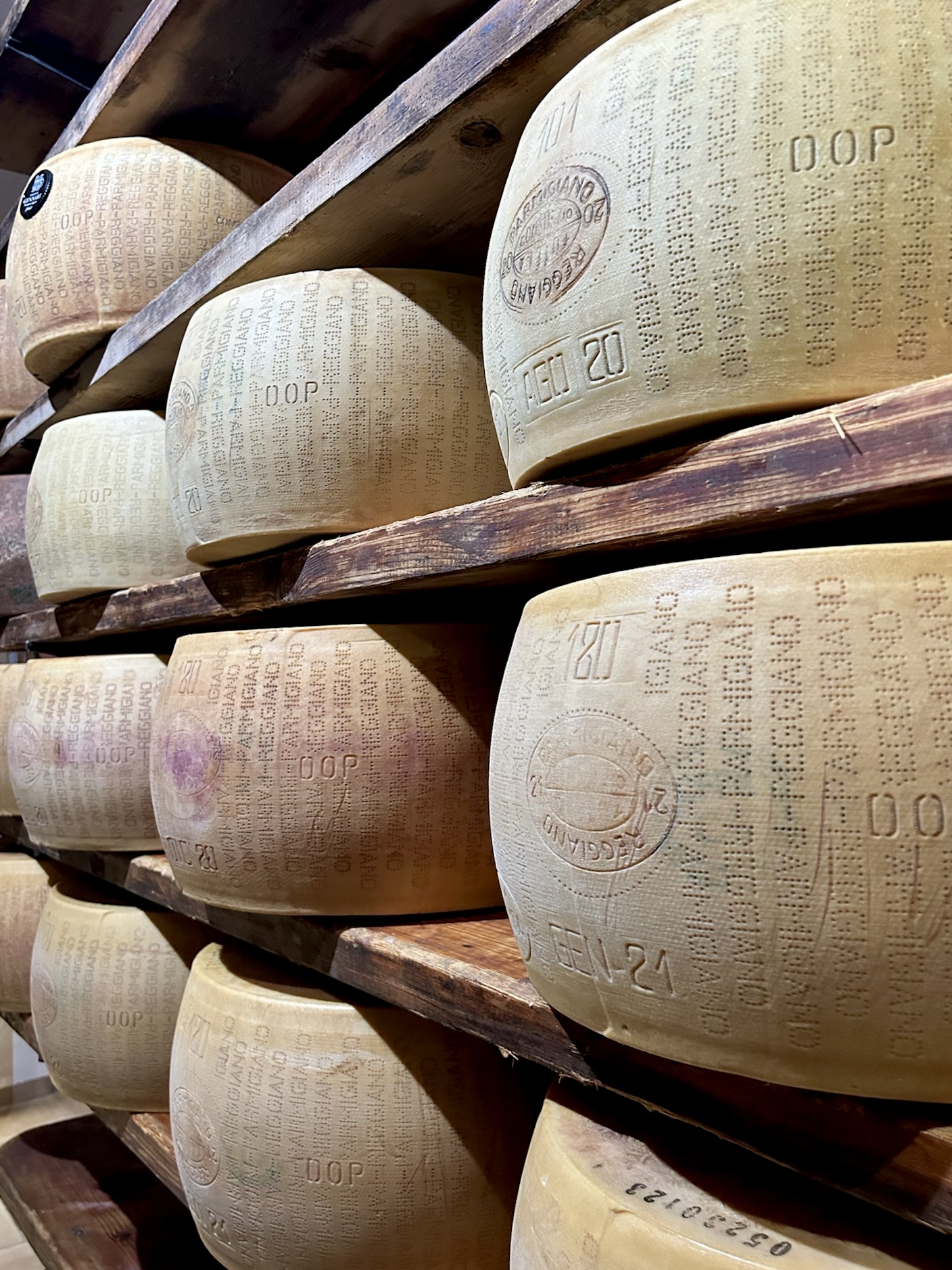 wooden shelves stocked with wheels of cheese from giolito formaggio in Bra