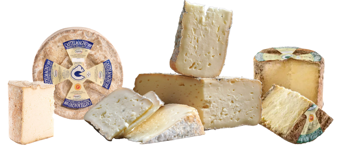 blocks of castemlagno cheese