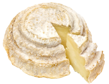 a round of Montebore with a slice out of it