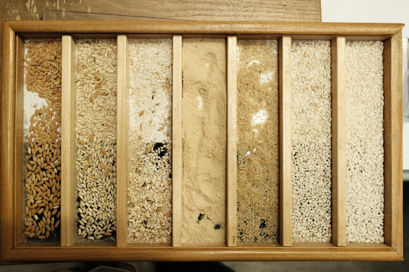 a tray with 5 different kinds of rice