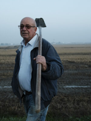 Piero hacking at the field with his badile (shovel)