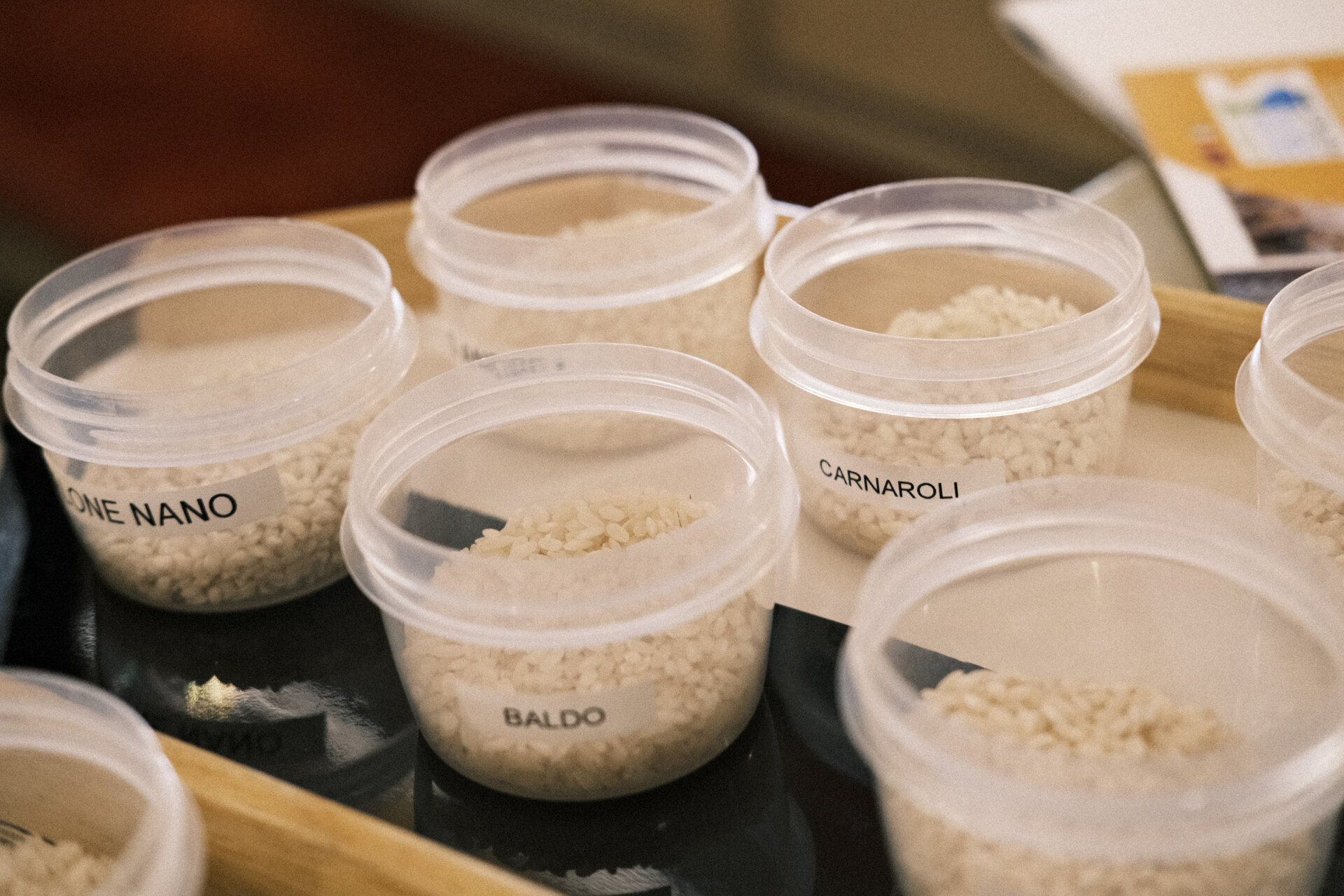 Different varieties of rice