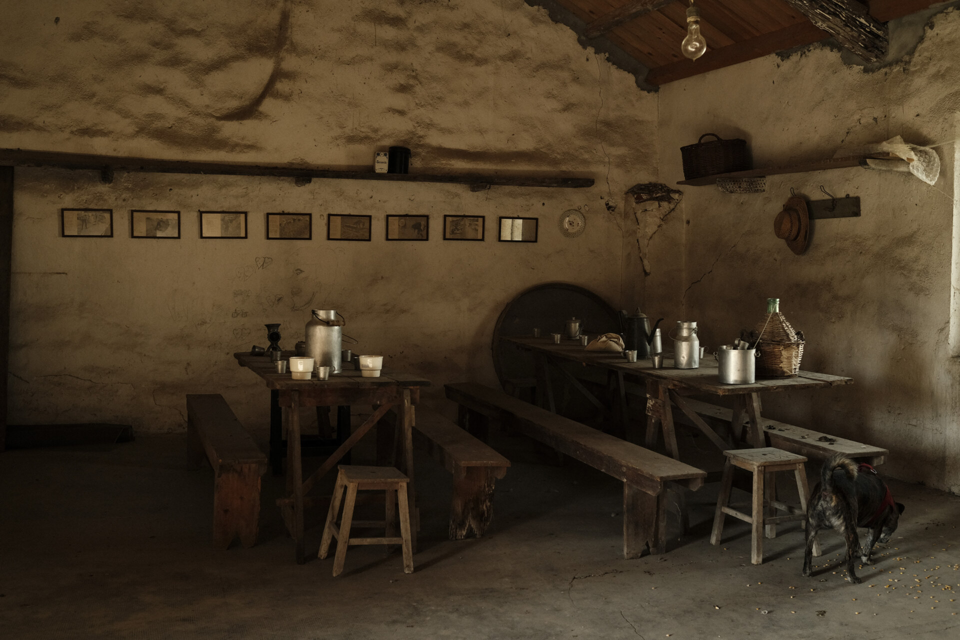 Igiea Adami’s farm, Beni di Busonengo
