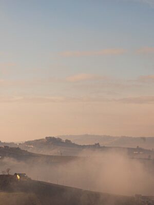 the misty vineyard covered hills surrounding Alba