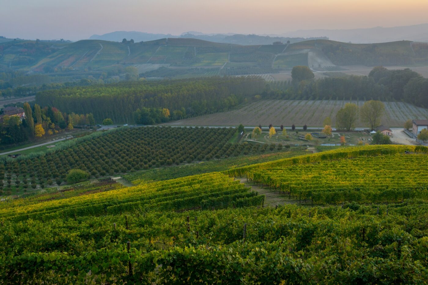 the rolling hills of vineyards in Piedmont in Alta Langa