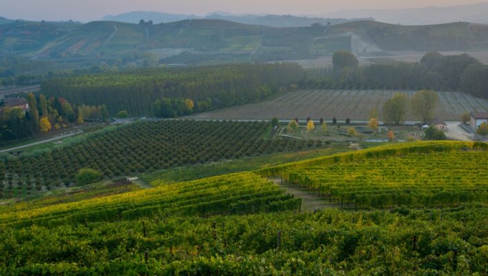 the rolling hills of vineyards in Piedmont in Alta Langa