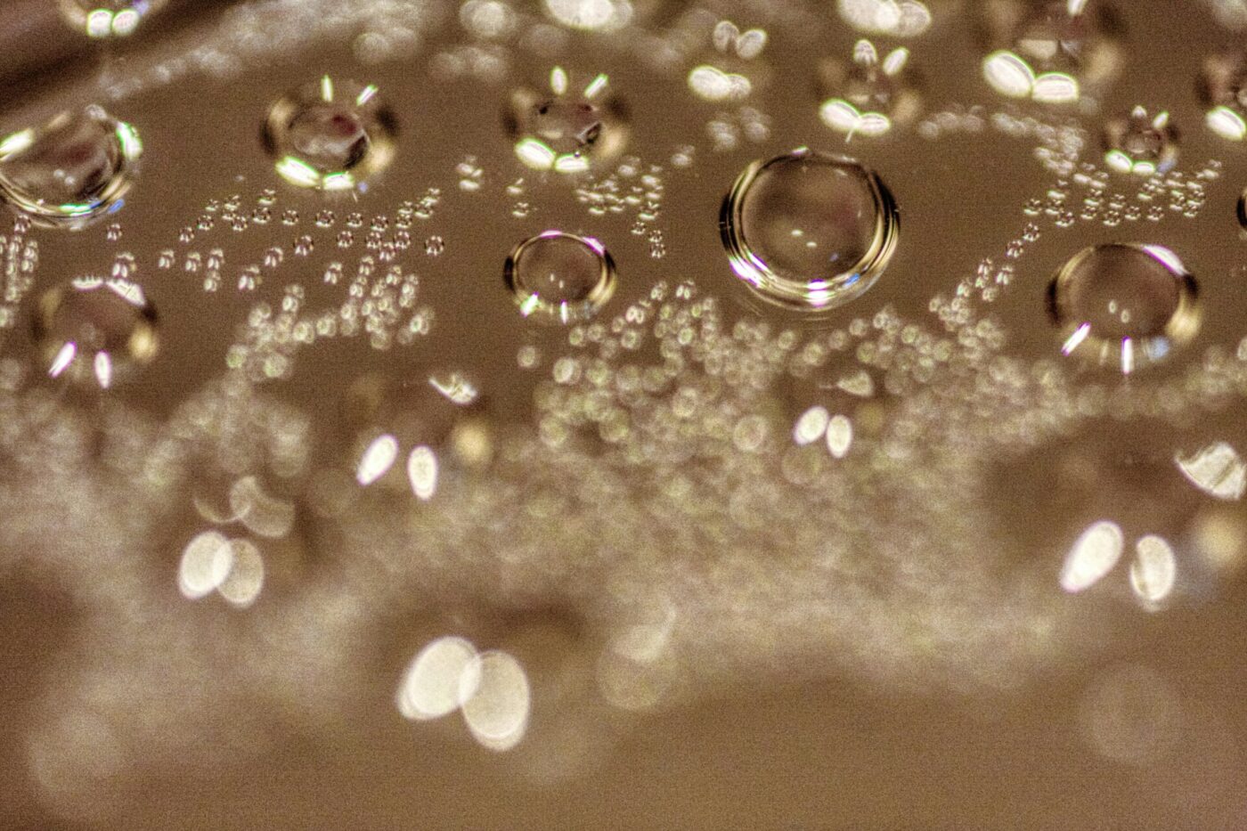a close up image of sparkling wine in Alta Langa