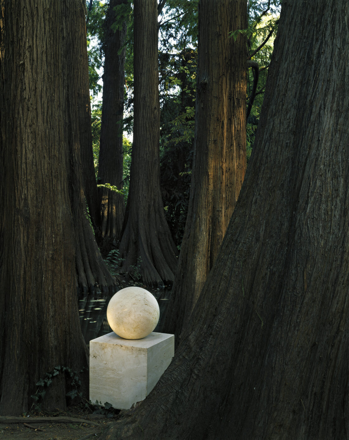 L'Altare della Buona Fortuna, a travertine marble homage to Wolfgang Goethe by Dino Gavina - A large, smooth white sphere sits on a rectangular pedestal among towering tree trunks in a tranquil forest setting. Sunlight softly filters through the leaves, casting gentle shadows on the scene.