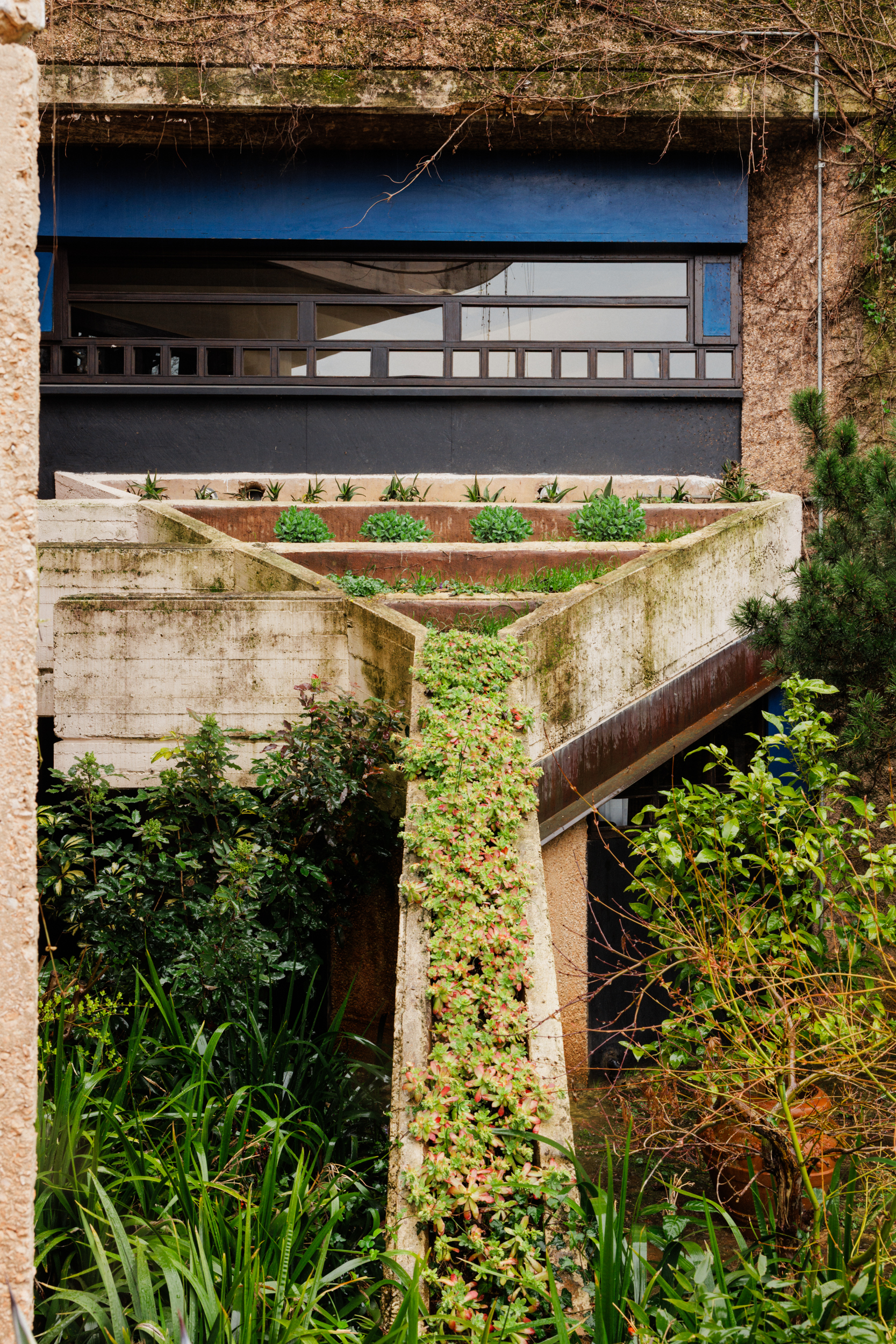 Un ponte verso la natura - Un ponte di cemento ricoperto di verde e piante conduce a un edificio con una facciata blu e marrone. In primo piano si trovano vegetazione rigogliosa e cespugli, che si aggiungono all'ambiente naturale circostante.