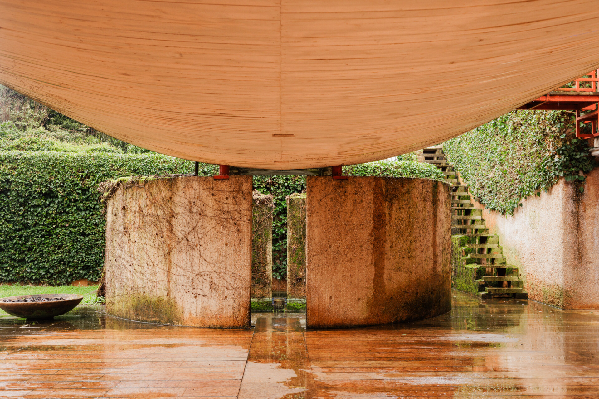 Curved Design Architecture" - Un soffitto curvo in legno è sostenuto da muri in cemento, circondati da edera verde. Nella scena è visibile una scala. Il terreno sembra bagnato e c'è una ciotola rotonda e poco profonda sul lato sinistro dell'immagine.