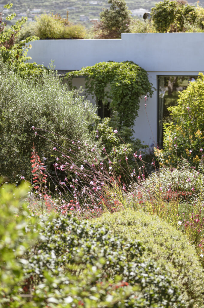 Casa Via Costa - Lush garden with diverse green foliage, pink flowers, and a modern white building partially covered with vines in the background. Hills and blue sky are visible in the distance.