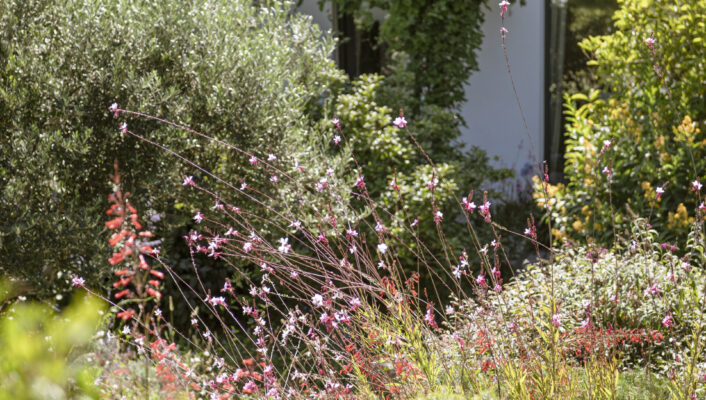 Casa Via Costa - Lush garden with diverse green foliage, pink flowers, and a modern white building partially covered with vines in the background. Hills and blue sky are visible in the distance.