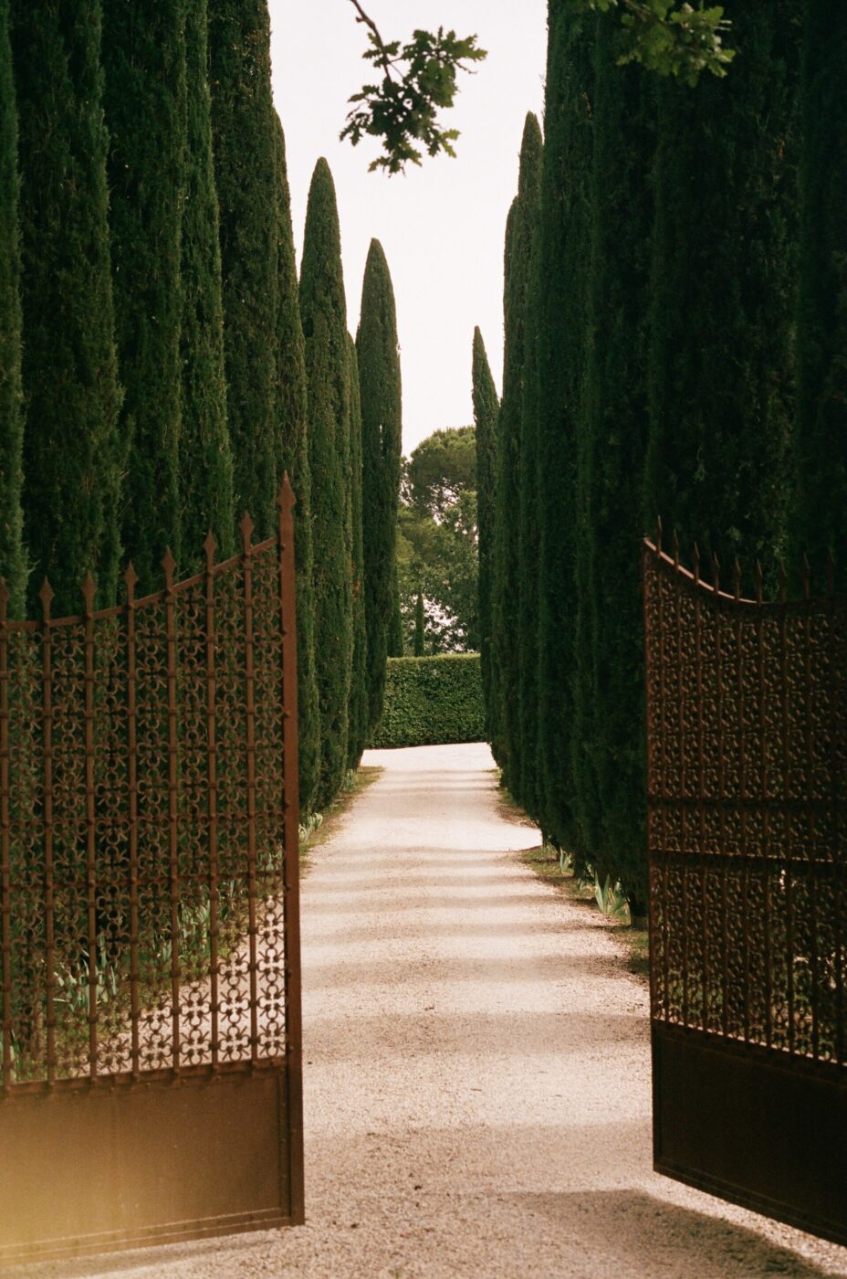 [Ornate Iron Gate] - An ornate iron gate opens to a gravel path lined with tall, narrow evergreen trees, leading to a hedge in the distance under a partly cloudy sky.