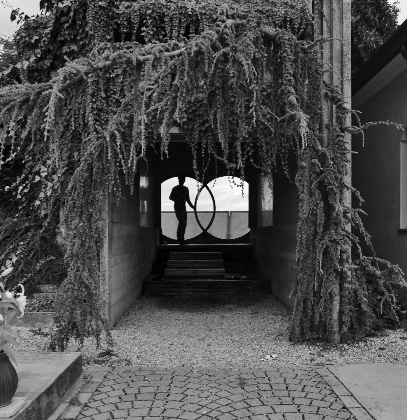 Solitary Passage" - La sagoma di una persona è in piedi in un'apertura circolare alla fine di un tunnel ricoperto di viticci pendenti e frondosi. Il sentiero è lastricato di pietre e la scena è in bianco e nero.