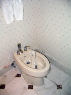 Classic Bathroom Bidet - A beige bidet with water flowing from its central spout is installed in a bathroom with patterned wallpaper and marble tile flooring. Two white towels hang on the wall above it. If you provide a different image title, simply replace Classic Bathroom Bidet with your provided title at the beginning of the description.