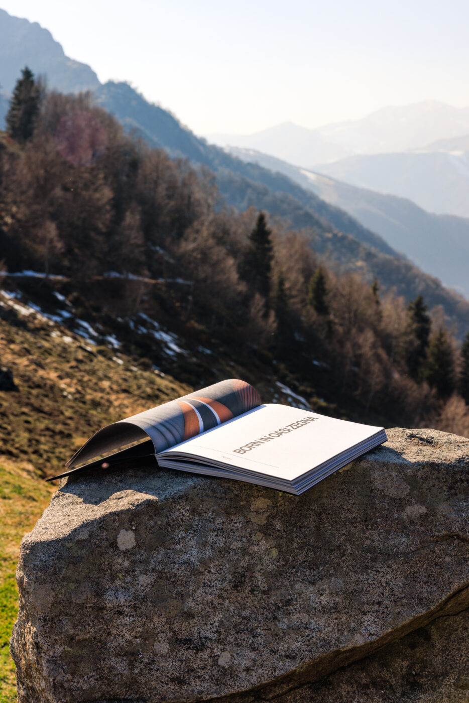 Un libro aperto è appoggiato su una grande roccia all'aperto, con un suggestivo paesaggio montano e pini sullo sfondo, in una giornata limpida.