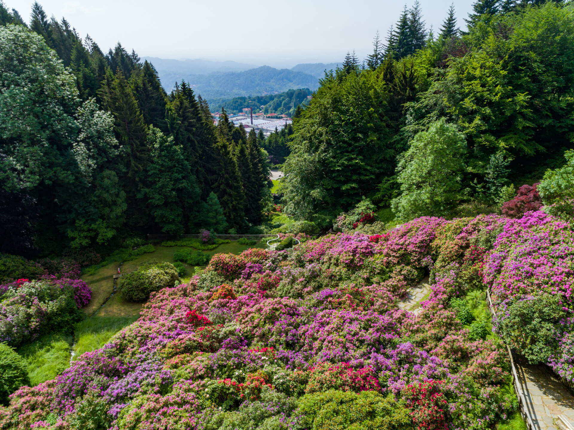 Un lussureggiante giardino collinare - Un lussureggiante giardino collinare ricoperto di fiori rosa, viola e rossi è circondato da fitti alberi verdi, con montagne e una città in lontananza visibili sotto un cielo nebbioso.