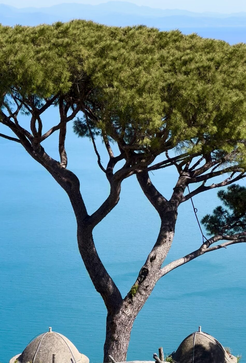 A tall pine tree with a broad canopy stands in front of a blue sea, with distant mountains visible on the horizon. Two stone domes sit at the bottom of the image in the foreground.