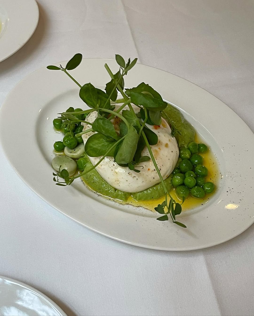 La Fiorita Amsterdam - A white plate with fresh burrata on a bed of green pea puree, surrounded by whole green peas and garnished with leafy microgreens, drizzled with olive oil.