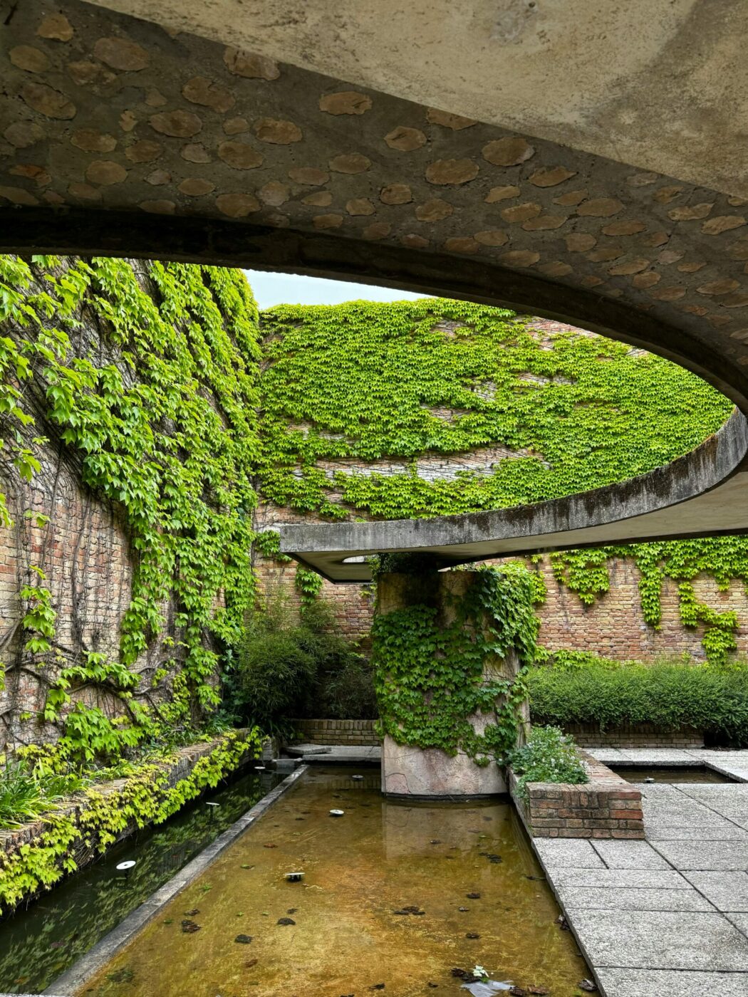 Architectural Harmony - Architectural structure with curved concrete and vine-covered brick walls. A shallow pool of water runs alongside a pathway surrounded by greenery. The texture of the concrete ceiling and green vegetation creates a harmonious blend.