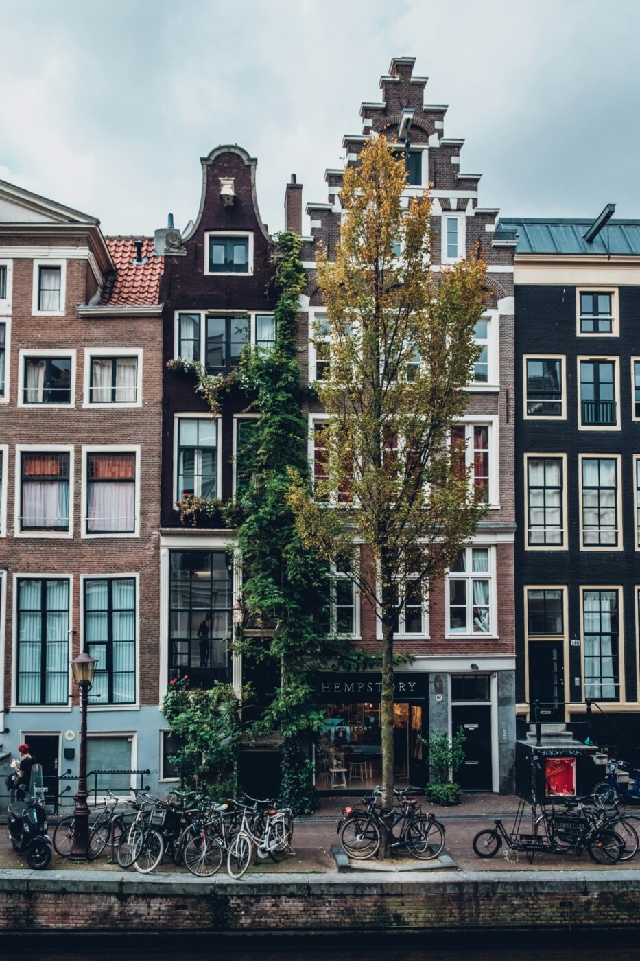 Amsterdam Canal Scene - Tall, narrow Dutch buildings line a canal in Amsterdam. Bicycles are parked along the street, and a tree stands in front of the buildings. The sky is overcast, creating a calm urban scene. Let me know if you’d like help with more examples!.