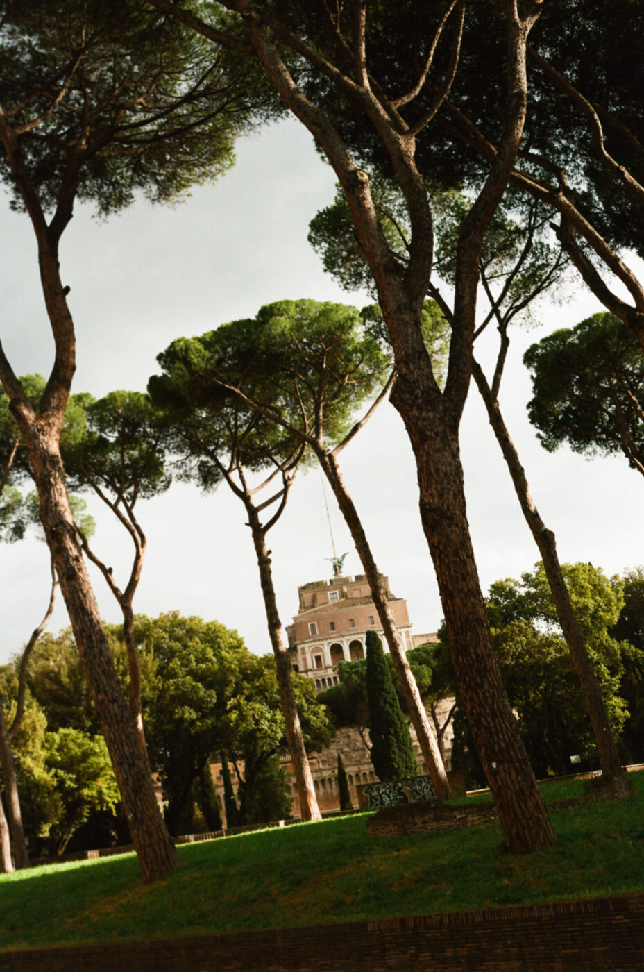 Tall pine trees frame the view of a historic brick building with a central tower and Italian flag, set against a partly cloudy sky in a lush, green park.