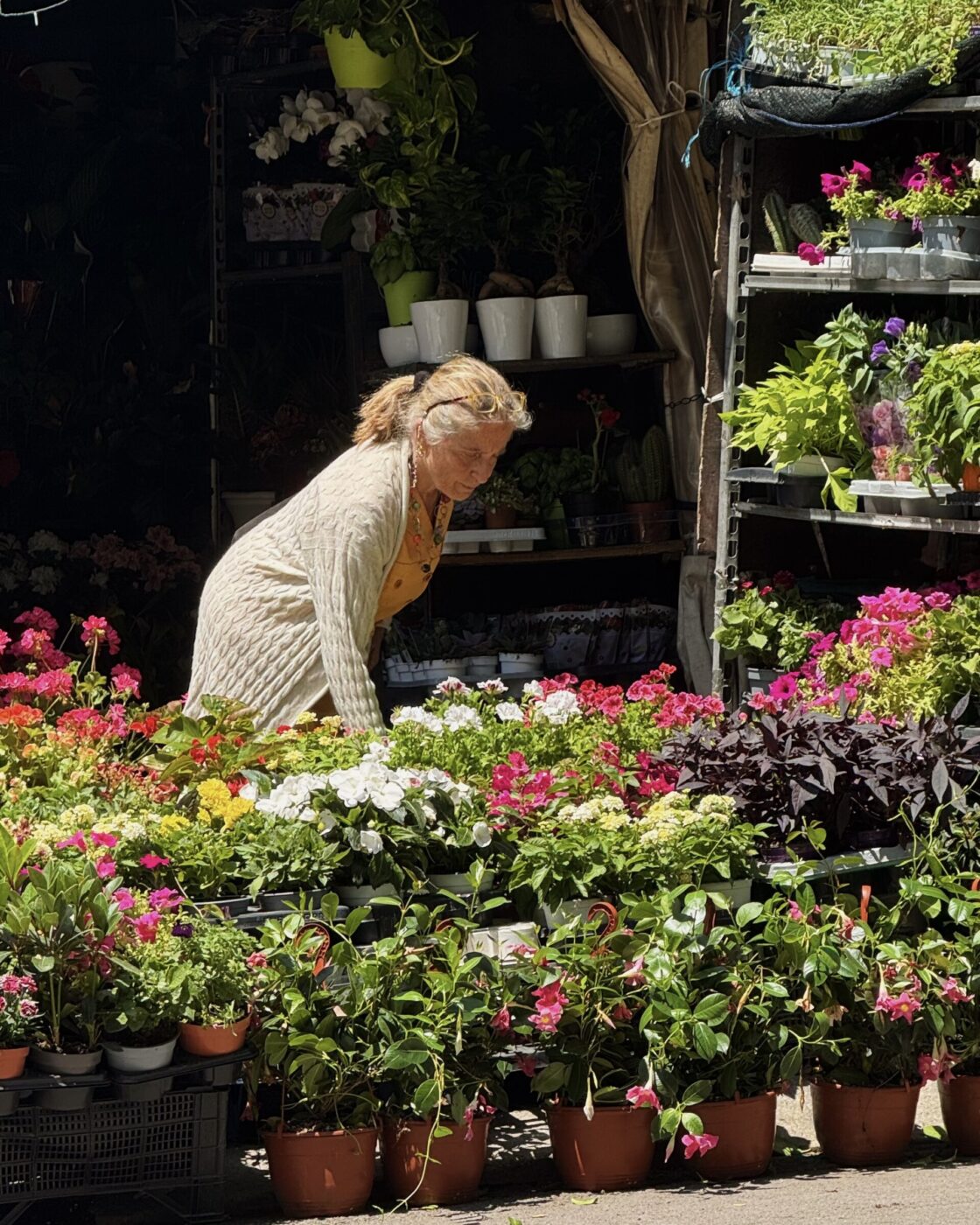 Una donna con i capelli biondi e un maglione leggero curiosa tra i fiori colorati in vaso di un mercato di piante all'aperto, circondata da fiori vivaci e verde alla luce del sole.