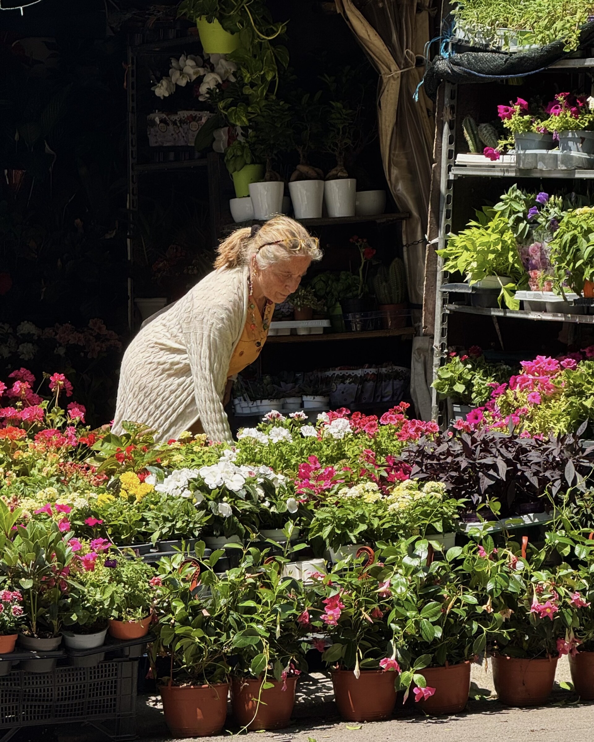 Una donna con i capelli biondi e un maglione leggero curiosa tra i fiori colorati in vaso di un mercato di piante all'aperto, circondata da fiori vivaci e verde alla luce del sole.