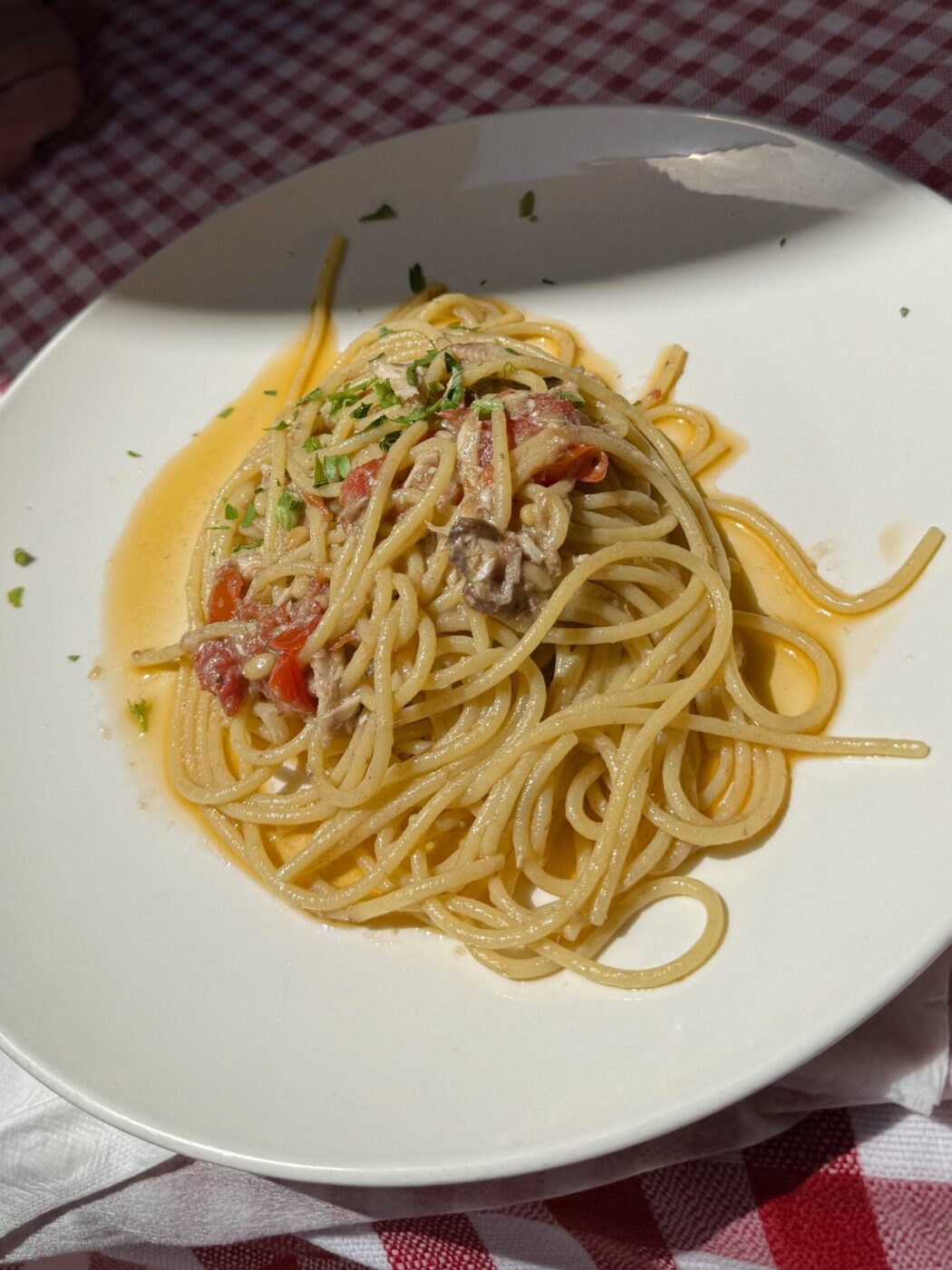 [Nessun titolo dell'immagine fornito] - Un piatto di spaghetti con una salsa leggera a base di pomodoro, pezzi di pomodoro ed erbe aromatiche, servito su un piatto bianco sopra una tovaglia a quadri rossi e bianchi, in pieno sole.