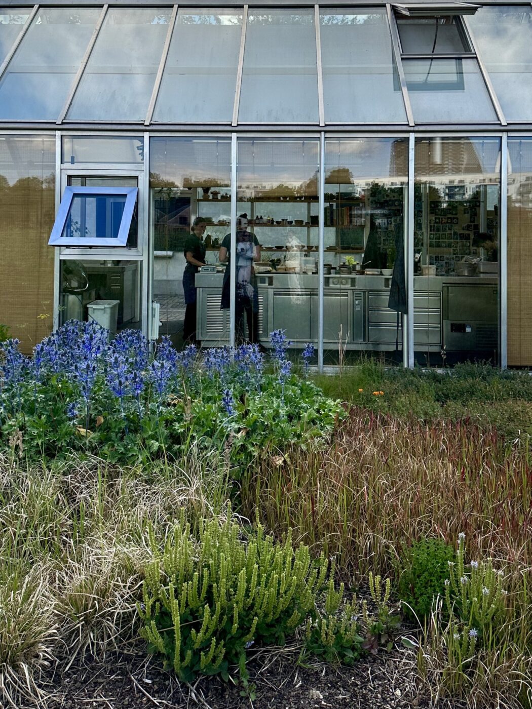 Cucina in serra - Una serra con ampie vetrate mostra persone che lavorano in cucina. All'esterno, c'è un giardino con piante verdi e viola e un prato che cresce di fronte all'edificio.