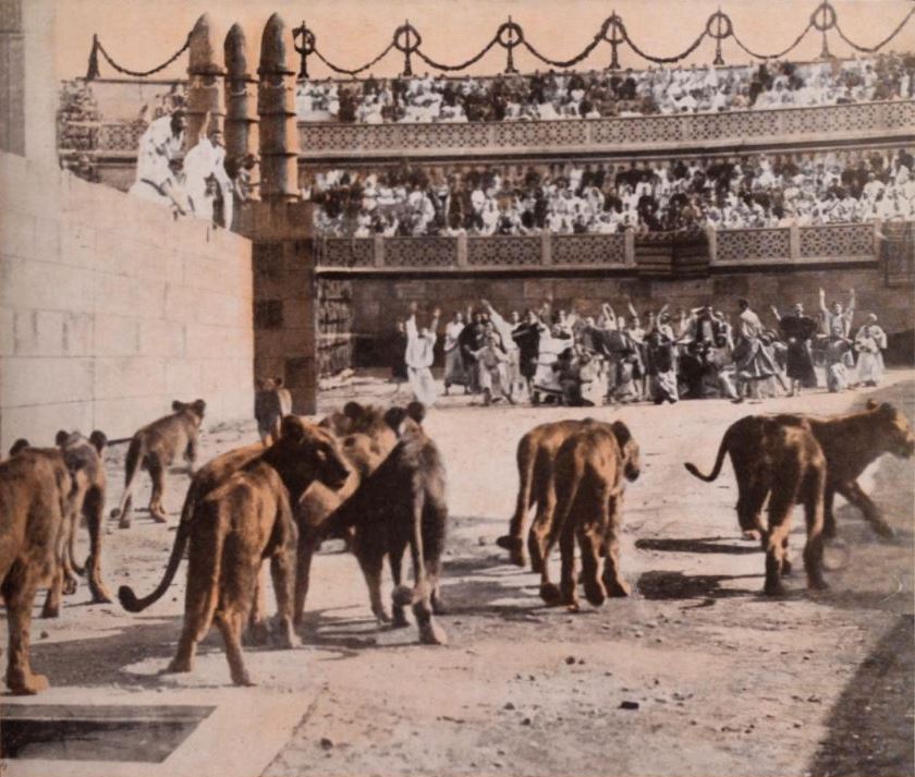 Tinted still used in an American advertisement for Quo Vadis : A group of lions enters an ancient Roman-style arena filled with spectators; people in the stands and arena react with a mix of fear and excitement.