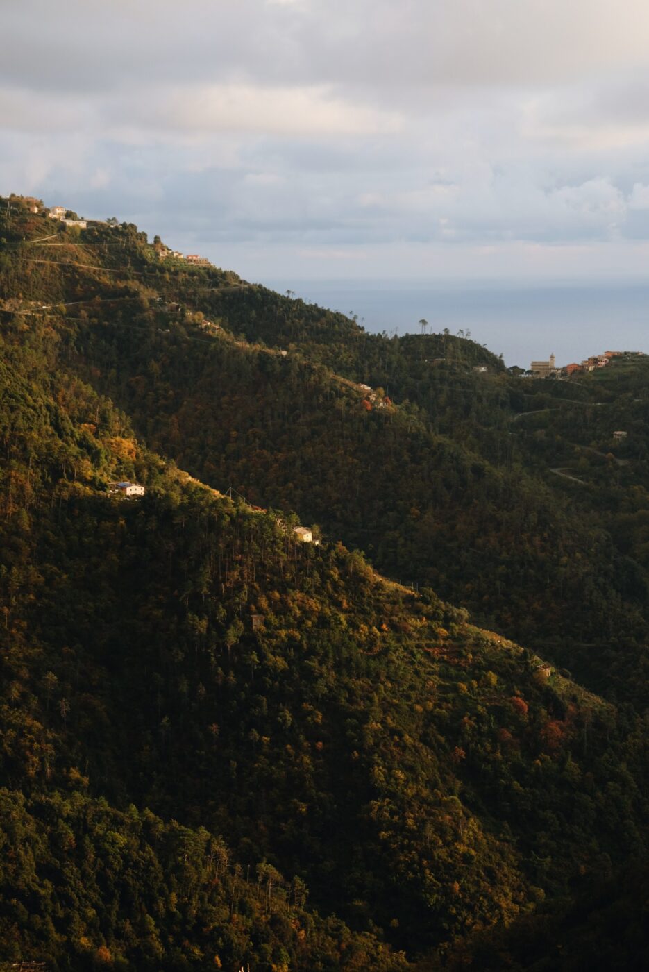 Colline ricoperte da una fitta foresta verde - Colline ricoperte da una fitta foresta verde con case sparse, immerse nella calda luce del sole; sullo sfondo si vede il mare sotto un cielo nuvoloso.