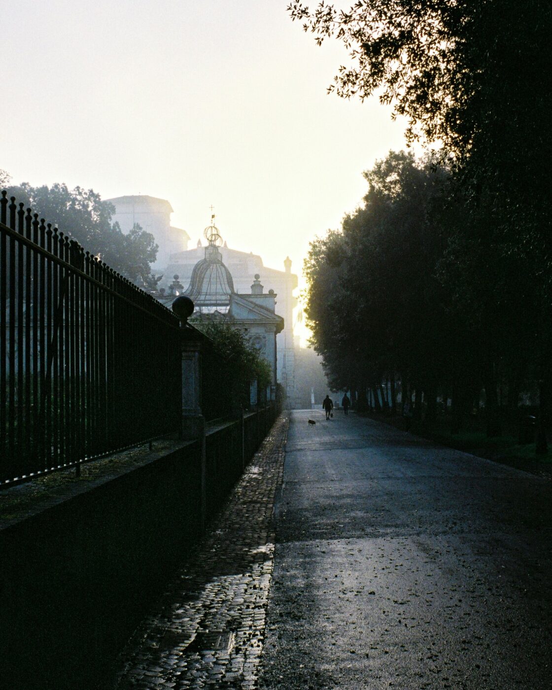 Villa Borghese - A wet pavement reflects soft golden sunlight as two people walk a dog, casting long shadows. Mist softens the view of trees lining the street and a domed building rises in the background.
