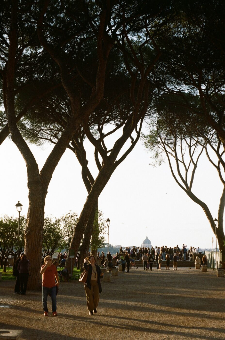 A sunlit park path lined with tall trees, filled with people walking and gathering. In the background, a distant dome is visible on the horizon under a clear sky.