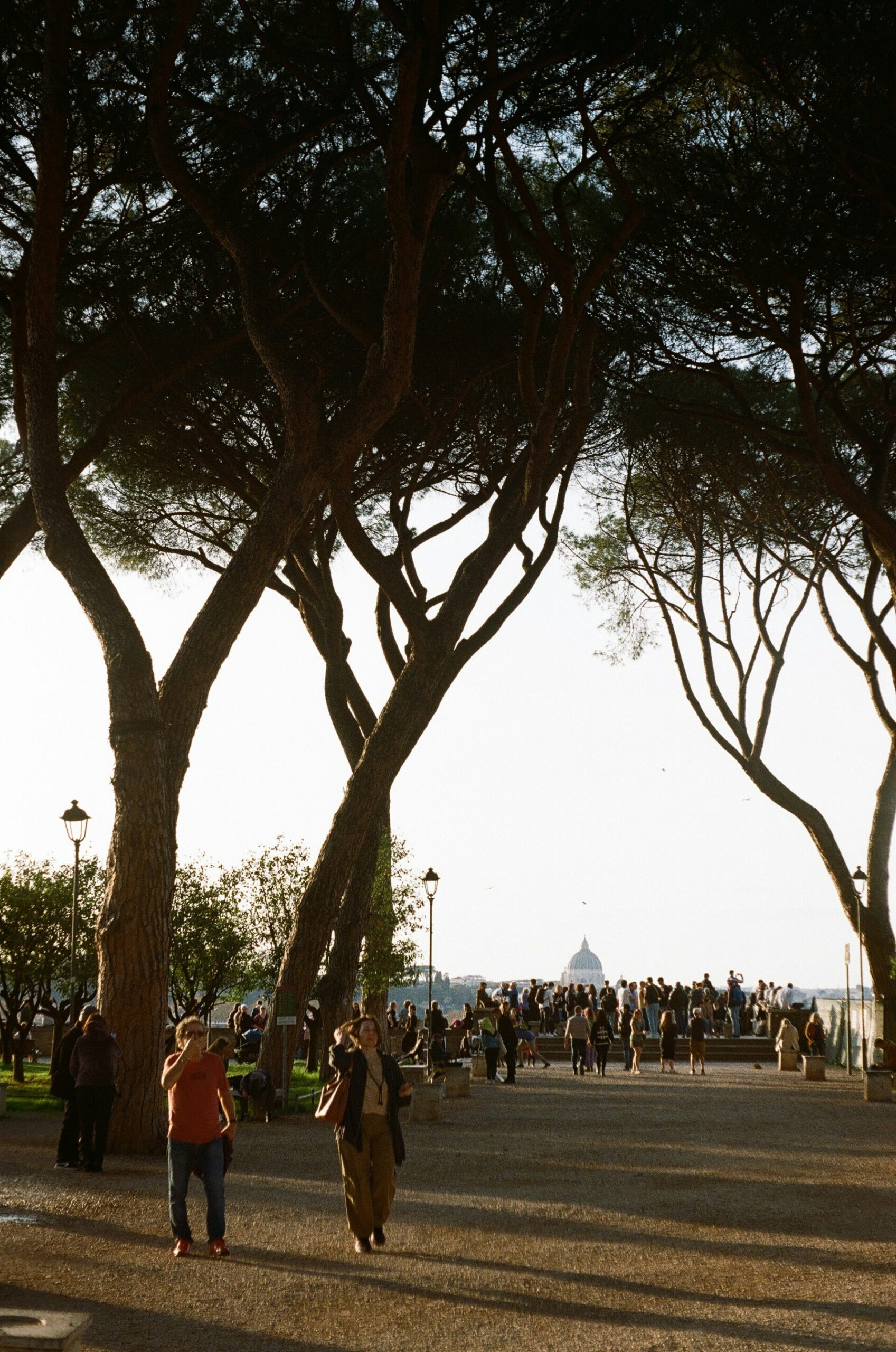 A sunlit park path lined with tall trees, filled with people walking and gathering. In the background, a distant dome is visible on the horizon under a clear sky.