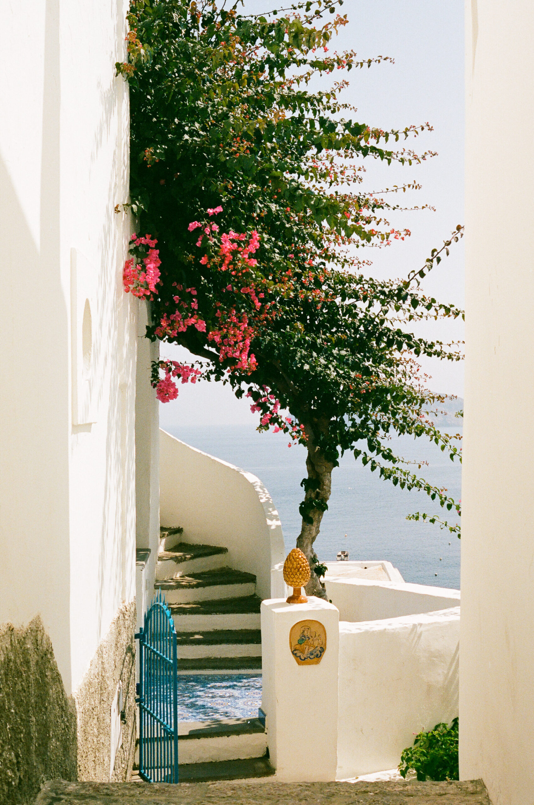 Panarea – A narrow alley with white walls leads to the sea, featuring a blue gate, curved steps, and a tree with pink flowers arching over the path under a sunny sky. If you provide the specific image title, I can include it accordingly.